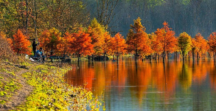 تصاویر| پاییز زیبای دریاچه الندان ساری