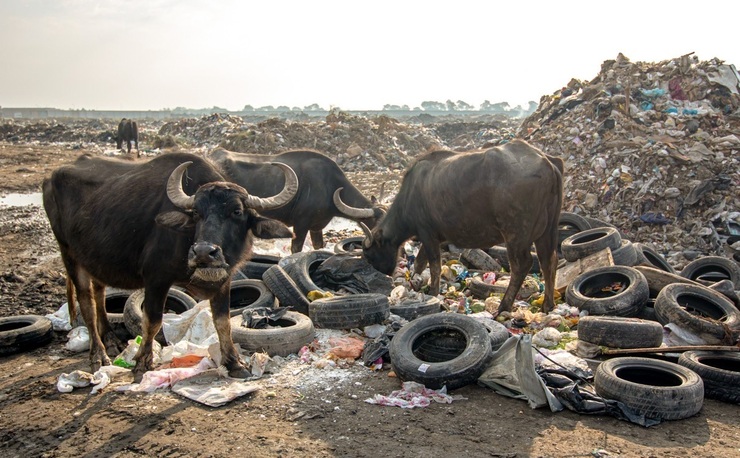 تصاویر| وضعیت فاجعه‌بار پسماند زباله‌ها در اهواز