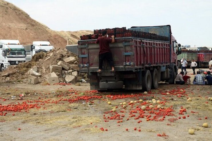 وقتی گوجه ۱۵ هزار تومانی در مرزها از دست می‌رود