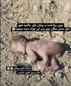 ماجرای نوزاد رها شده در حاشیه شهر اصفهان چیست؟