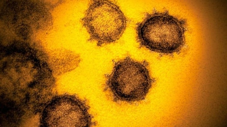رمز ژنتیکی واکنش شدید به ویروس کرونا شناسایی شد