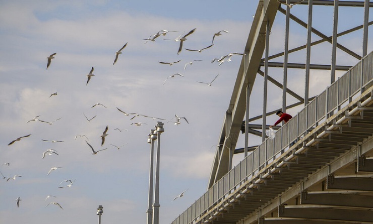 تصاویر| مسافران پل سفید اهواز