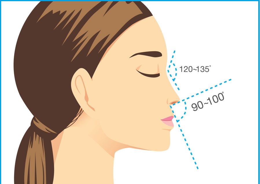 بهترین فرم بینی برای صورت من کدام است؟ بهترین فرم بینی برای صورت من کدام است؟