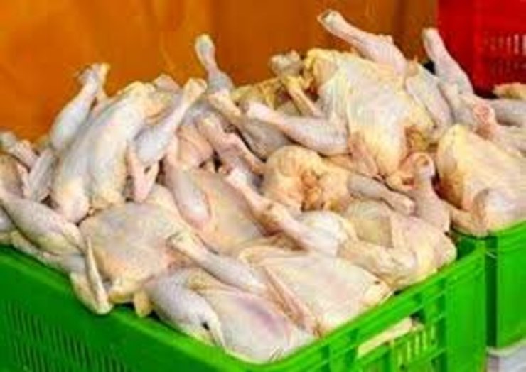 وزارت صمت: قیمت مرغ تا هفته آینده متعادل می‌شود