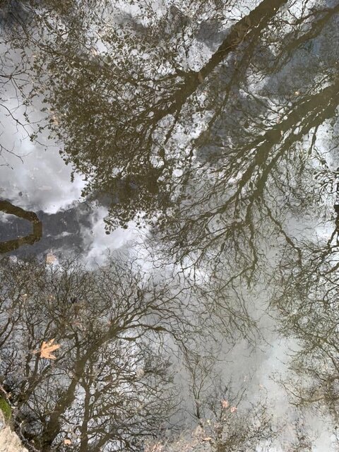 روایت ربیعی از جلسه ستاد اقتصادی دولت روایت ربیعی از جلسه ستاد اقتصادی دولت