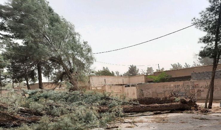 هواشناسی اردبیل نسبت به وقوع تندباد هشدار داد