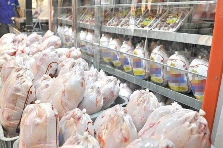 تنظیم بازار مرغ به وزارت کشاورزی سپرده شد