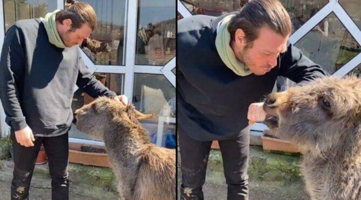 عکس| بازیگر مشهور سینما سرپرستی یک کره خر را پذیرفت
