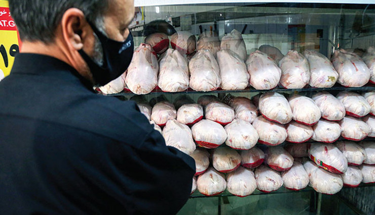 بهانه جدید برای گرانی مجدد قیمت گوشت