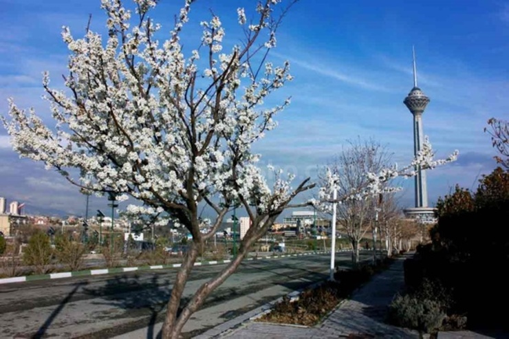 هوای تهران قابل قبول است/ پیش بینی کاهش کیفیت هوای پایتخت