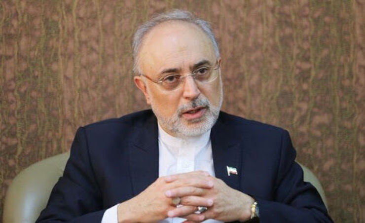 صالحی: ایران به اورانیوم با غنای ۶۰ درصد دست یافت