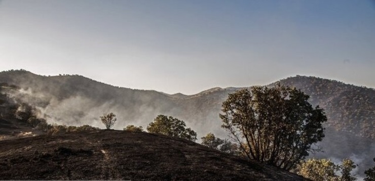 آتش سوزی در ۳ هکتار از جنگل‌های سنندج