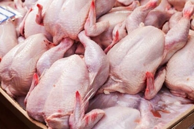 کشف ۲۴۰۰ کیلو مرغ احتکار شده در ری/فرد خاطی به مراجع قضایی معرفی شد