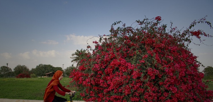 تصاویر| اهواز، شهر گل‌های کاغذی