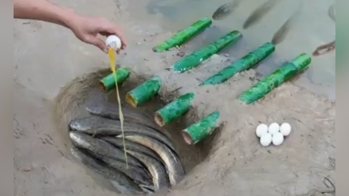 فیلم| روشی متفاوت برای صید ماهی