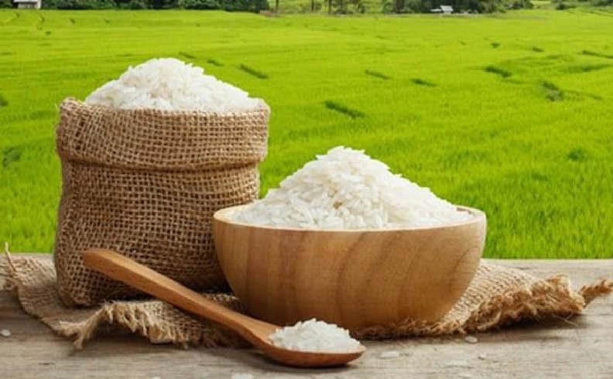 برنج ایرانی چگونه در آستانه ۱۰۰ هزار تومان قرار گرفت؟