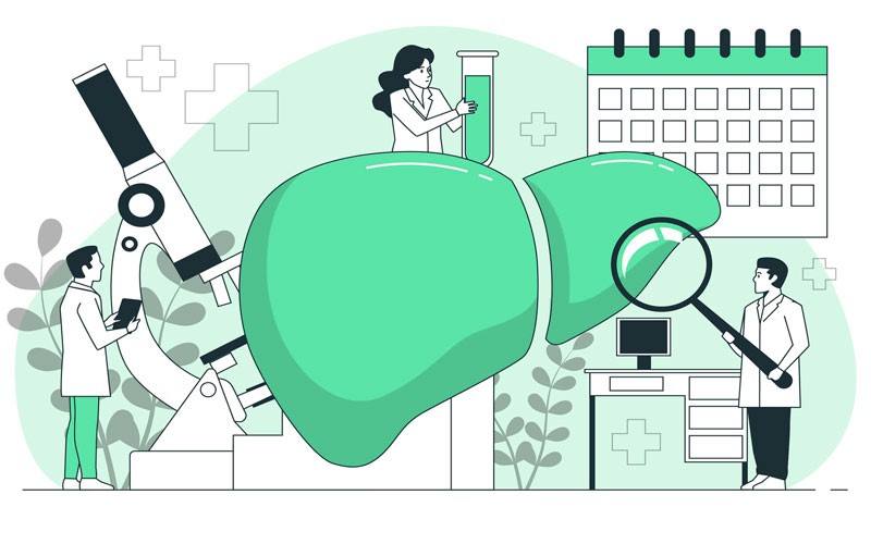 کبد چرب؛ یکی از شایع‌ترین مشکلات مربوط به کبد