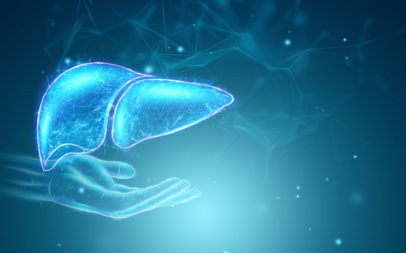 کبد چرب؛ یکی از شایع‌ترین مشکلات مربوط به کبد