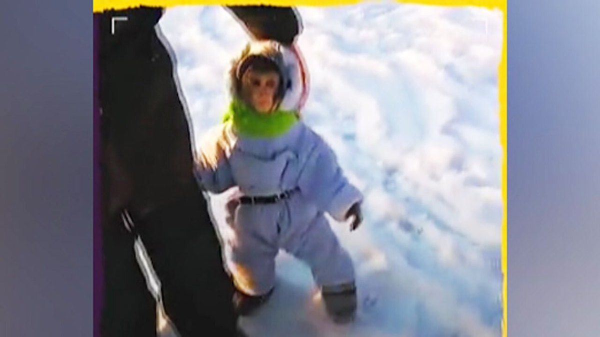 فیلم| خوشحالی و برف بازی یک میمون در ترکیه