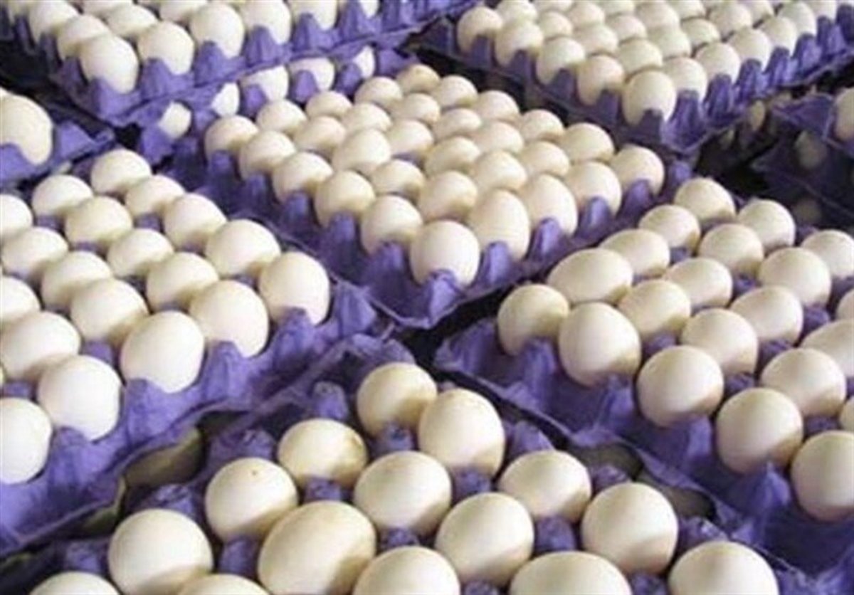 چرا کویت واردات مرغ و تخم مرغ ایران را ممنوع کرد؟