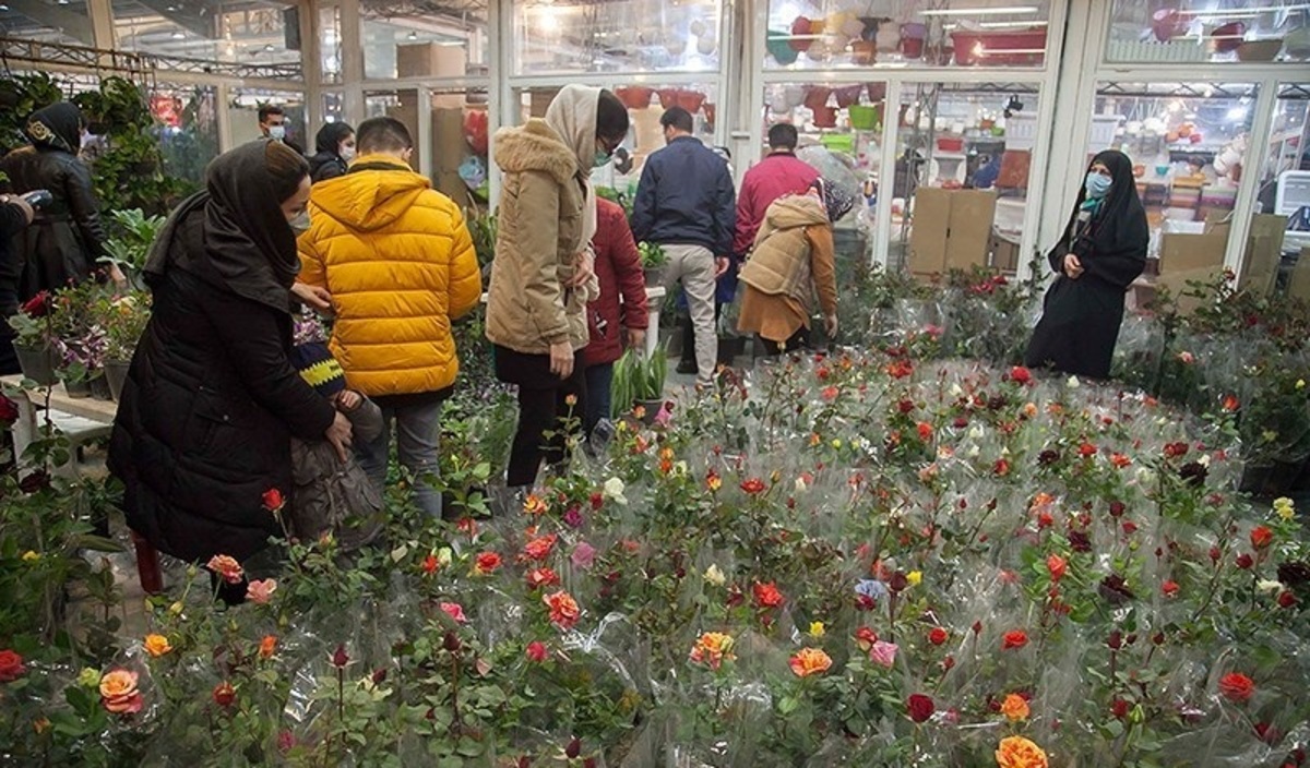 تصاویر| نمایشگاه گل و گیاه در کرمانشاه