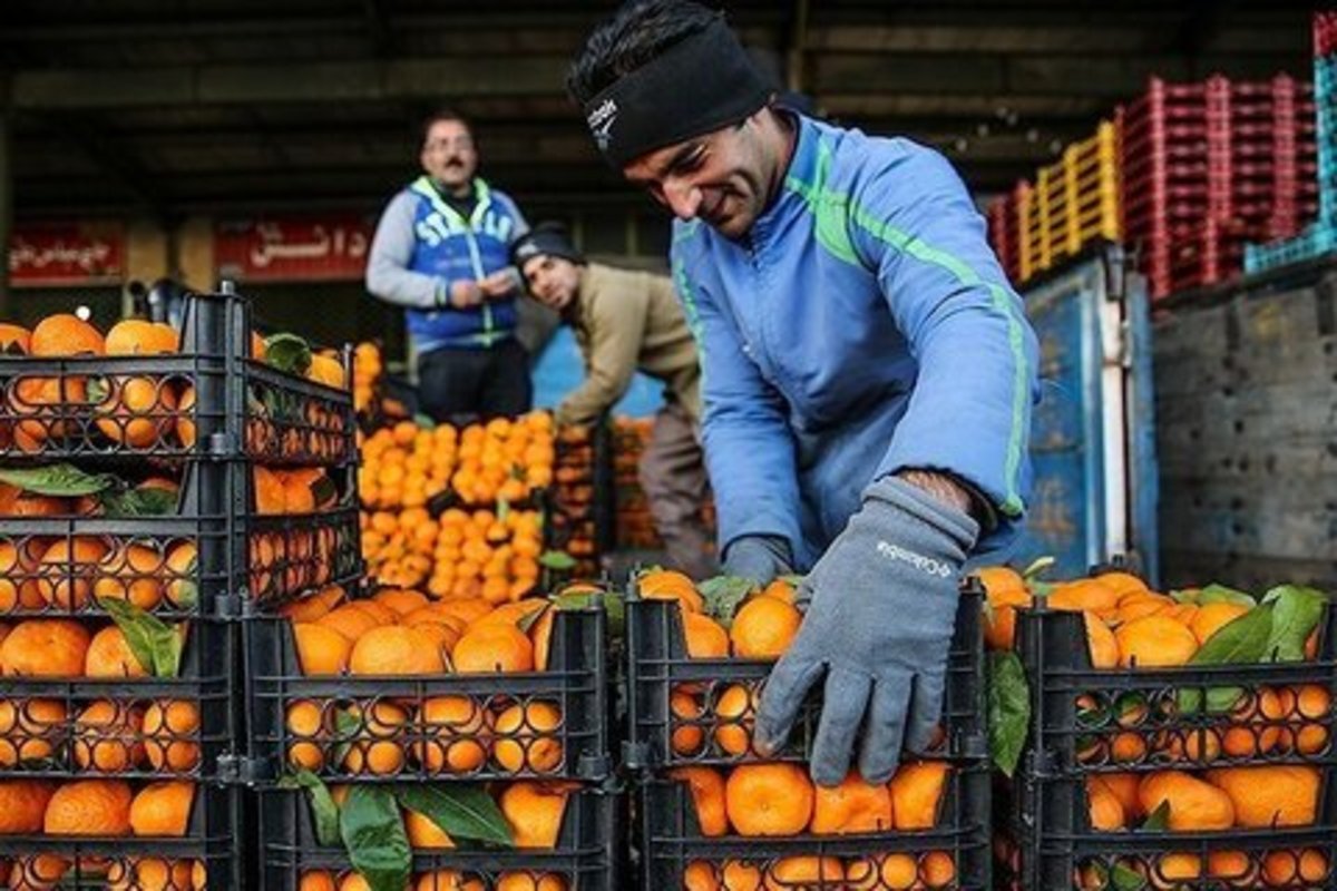 کاهش ۲۵ درصدی مصرف میوه در کشور