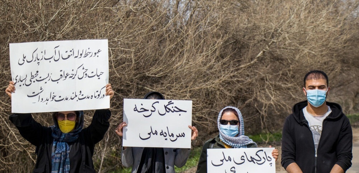 تصاویر| زنگ خطر برای گوزن زرد ایرانی