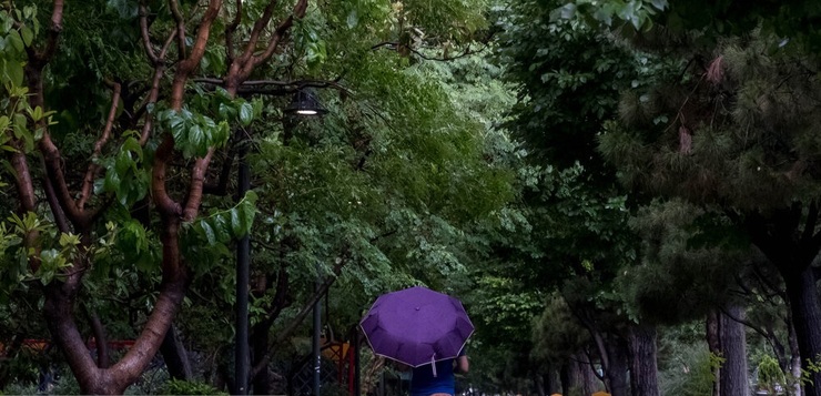 تصاویر| بارش باران بهاری در تهران