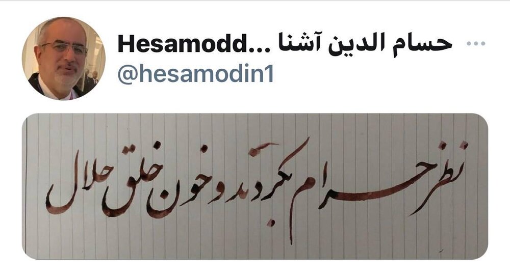 کنایه معنادار حسام الدین آشنا به مجلسی ها؛ نظر حرام بکردند و خون خلق حلال!