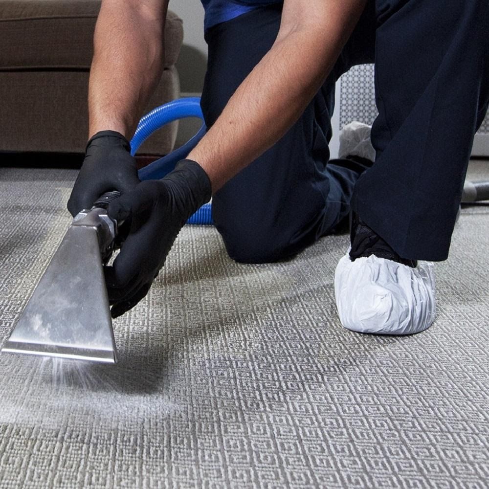 شستن موکت در بهترین قالیشویی‌ها