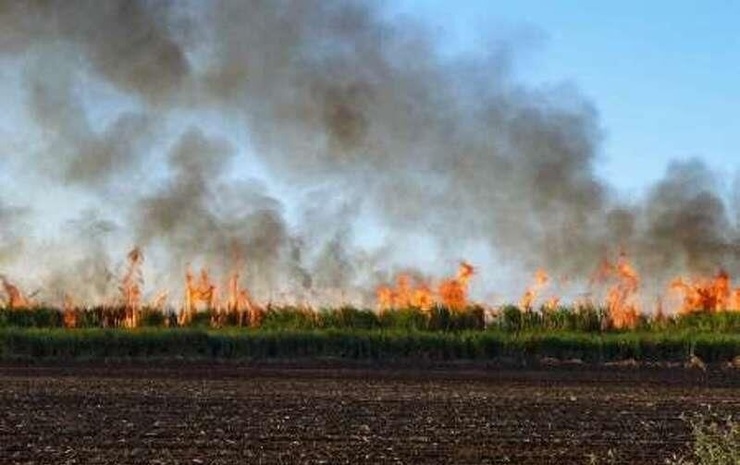 آتش‌سوزی گسترده در روستایی در اهواز