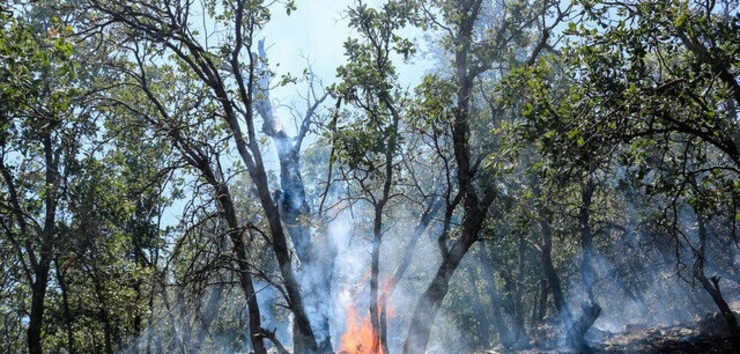 کنترل آتش سوزی جنگل‌های گچساران