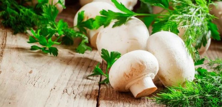 ارتباط مصرف بیشتر قارچ با کاهش خطر ابتلا به سرطان