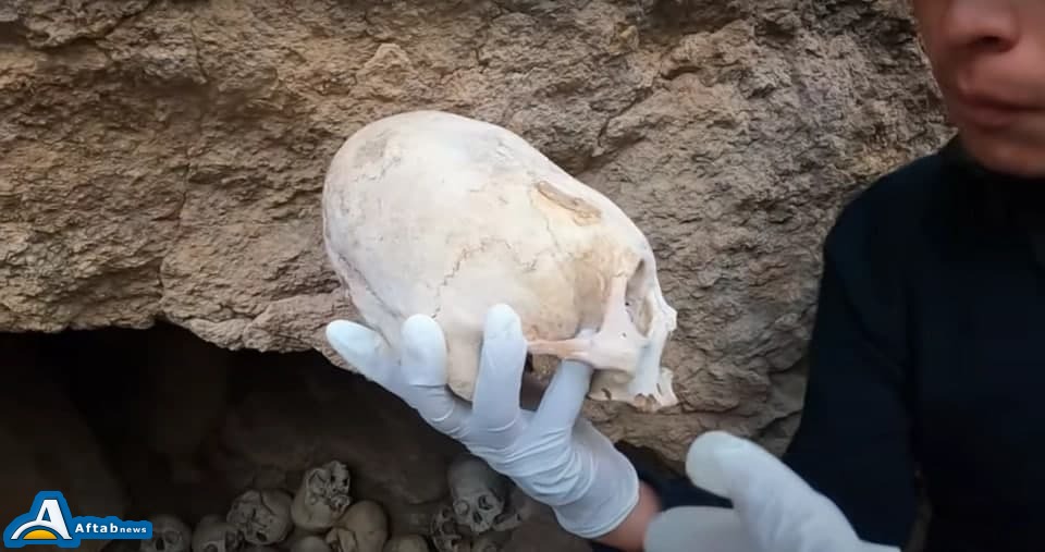 عکس| این جمجمهها متعلق به موجودات فضایی هستند؟ عکس| این جمجمهها متعلق به موجودات فضایی هستند؟