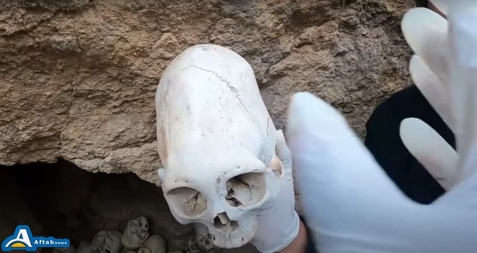 عکس| این جمجمهها متعلق به موجودات فضایی هستند؟ عکس| این جمجمهها متعلق به موجودات فضایی هستند؟