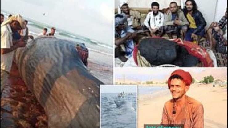 گنج گرانبهایی که ماهیگیران یمنی از دل یک نهنگ کشف کردند