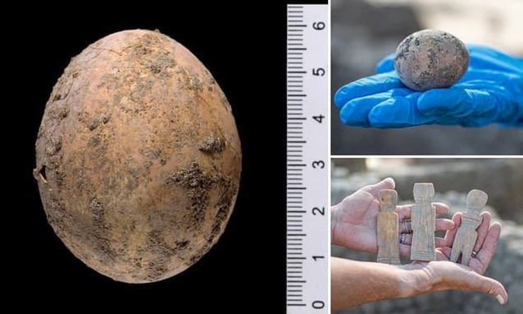 تصاویر| کشف تخم مرغ ۱۰۰۰ ساله