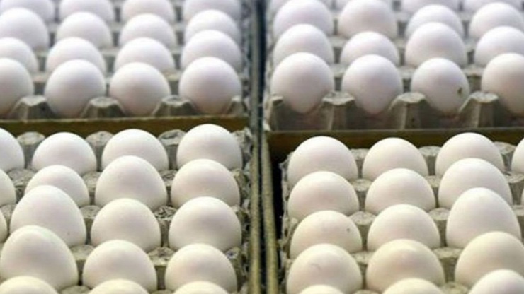 عرضه مرغ و تخم مرغ با قیمت مصوب در سمنان