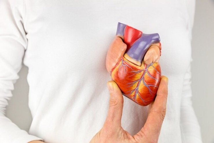 خطر چربی دور قلب برای سلامتی مردان و زنان