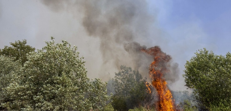تصاویر| آتش‌سوزی مجدد در جنگل‌های کرخه