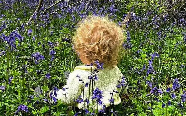 ازدواج مخفیانه نخست وزیر بریتانیا/ با رعایت محدودیتهای کرونایی ازدواج مخفیانه نخست وزیر بریتانیا/ با رعایت محدودیتهای کرونایی