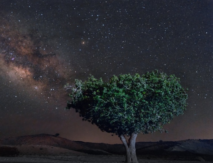 تصاویر| آسمان شگفت‌انگیز بلوچستان در شب