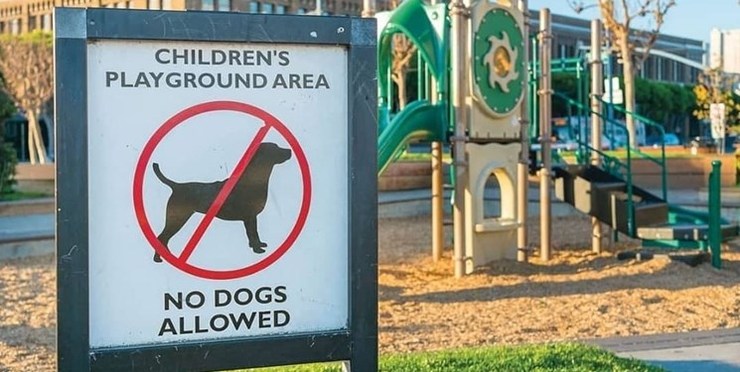 سه دلیل برای ممنوعیت ورود حیوانات به محیط بازی کودکان