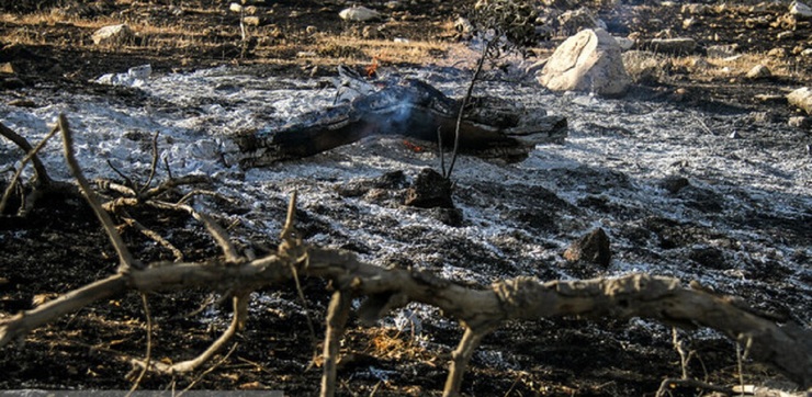 تداوم سوختن جنگل‌ها در آتش ناهماهنگی ها و کمبود امکانات