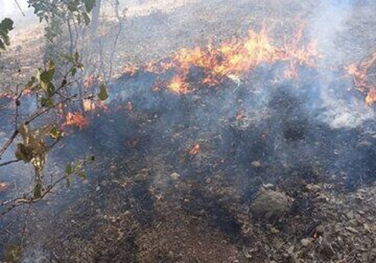 داستان غم‌انگیز آتش‌سوزی جنگل‌های کوه نارک