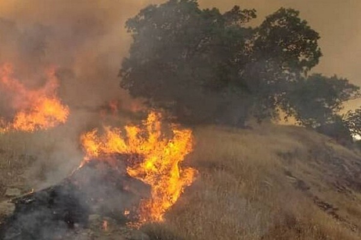 آتش‌سوزی گسترده در جنگل‌های بوزین و مره‌خیل پاوه