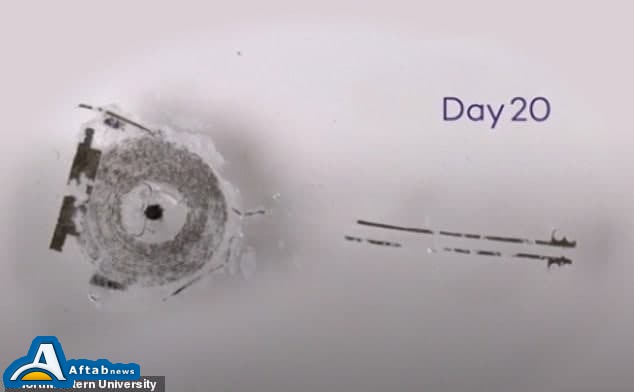 انقلابی تازه در ساخت ضربان‌ساز‌های قلب