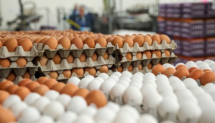 تخم مرغ گرانتر می‌شود؟