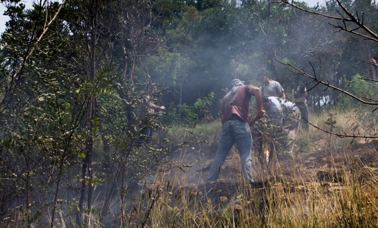 تصاویر| آتش‌سوزی پارک جنگلی توس نوذر سنندج