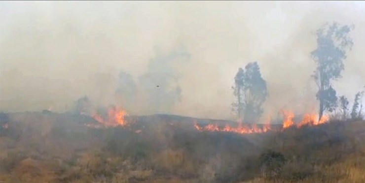 مهار آتش‌ در تنگه هایقر فیروزآباد